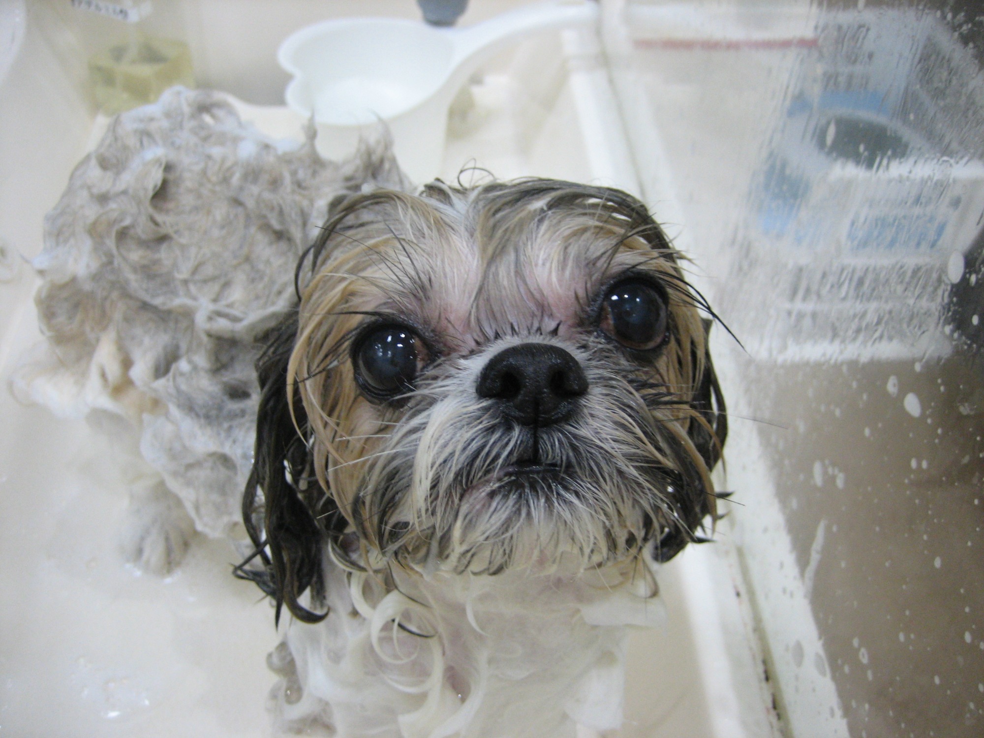 シャンプーセット